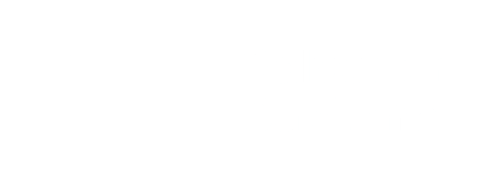 Salvador Caetano