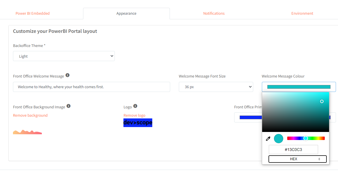 Customize PowerBI Portal