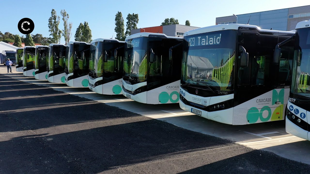 Cascais Próxima bus fleet